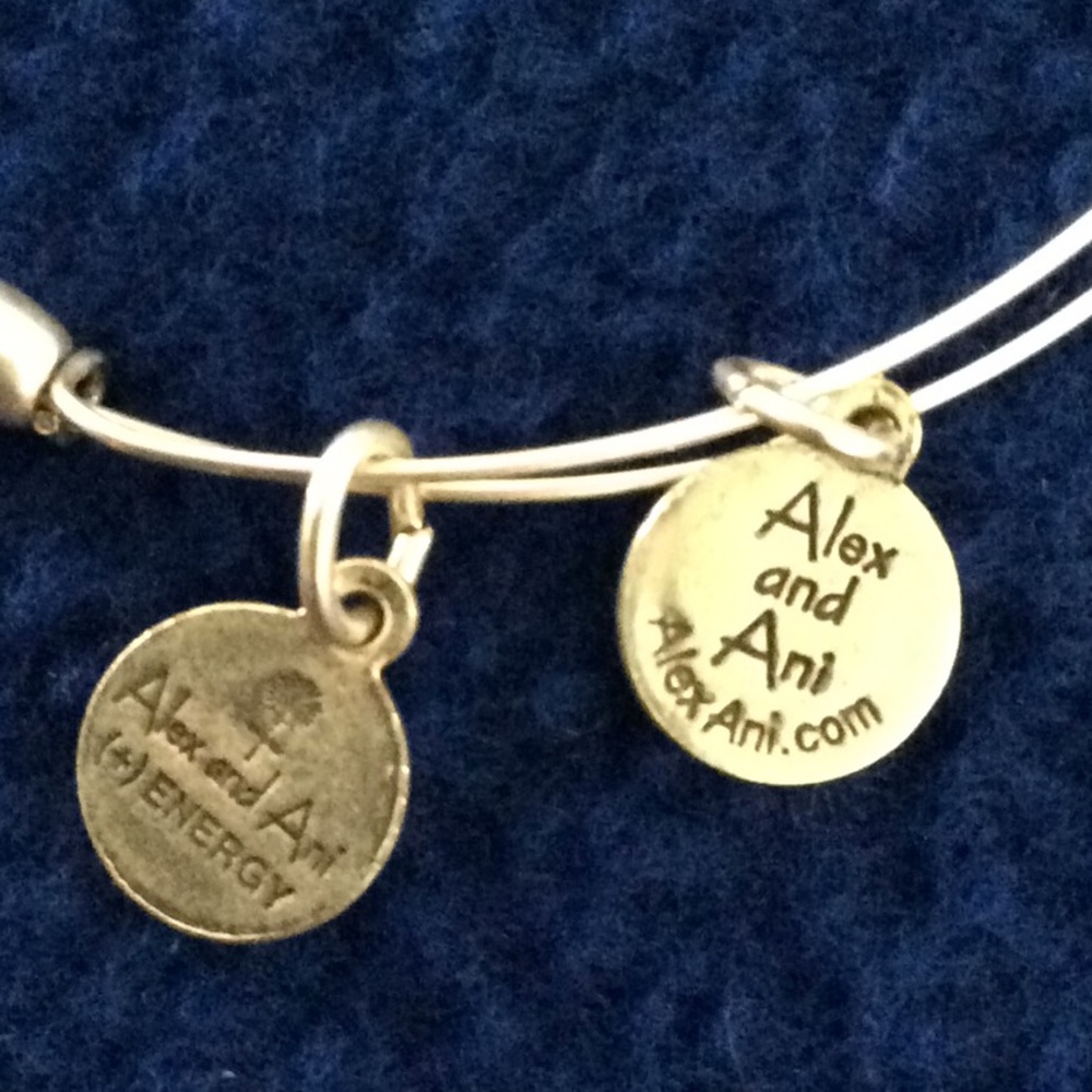 Alex and Ani Energy Bracelet - Picture 4 of 4
